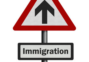 Don’t navigate the immigration system on your own…