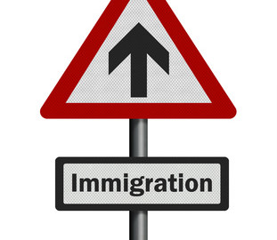 Don’t navigate the immigration system on your own…